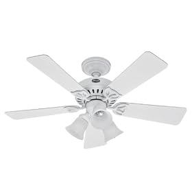Hunter 20436 42-Inch Beacon Hill Three-Light Five-Blade Ceiling Fan, Frosted Globes (White)