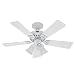 Hunter 20436 Beacon Hill Three-Light 42-Inch Five-Blade Ceiling Fan, White with Frosted Globes
