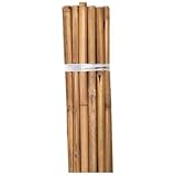 Grower's Edge Natural Bamboo 2 ft, Bulk 200 Pack