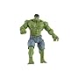 Incredible Hulk Movie Action Figure Hulk