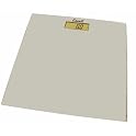 Escali Glass Precision Lithium Scale - Silver (Square)