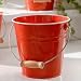 All-Purpose Red Metal Bucket