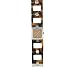 Women's Pedre 2860SX