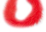 Eigenschaften KnorrPrandell / Gütermann / KnorrPrandell 2543720 - Federboas rot, 1 meter/ Beutel