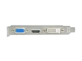 ELSA NVIDIA GeForce GT520���ڃO���t�B�b�N�{�[�hGLADIAC GT520 LP GD520-1GERGL