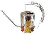 31yZCqT6ASL. SL160  ArtisanStreets Fall Design Stainless Steel Watering Can. Hand Painted. Made to Order, Signed.