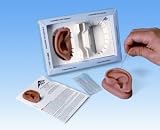 2 Acupuncture Ears Model