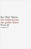Die Gefährlichkeit der großen Ebene: Prosa 3