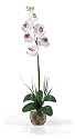 Silk Orchid Artificial Flower Arrangement - Single Phalaenopsis Liquid Illusion-White