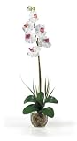 Review Quality Silk Plants  / Silk Orchid Artificial Flower Arrangement - Single Phalaenopsis Liquid Illusion-White