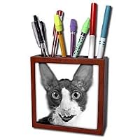 VWPics Dogs n Cats - Rex cornish bicolore noir et blanc - Tile Pen Holders-5 inch tile pen holder