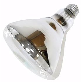 250-watt BR40 heat lamp by Osram