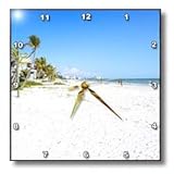 IMAGE OF Ft. Myers Beach II - 10x10 Wall Clock