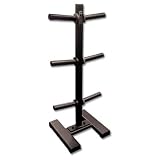 Champion Barbell 6 Post Olympic Vertical Plate Holder