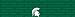 Michigan State Spartans Team Auto Visor Decal