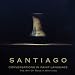 Book Conversations in Paint Language: The Art of Roseta Santiago