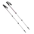 Black Diamond Trail Back Trekking Poles (Pair) - Cinnamon
