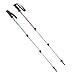 Switchback Trekking Poles by Black Diamond