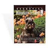 The Essential Miniature Schnauzer