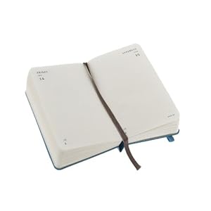 Daily planner XS. Sky blue cover
