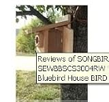Songbird Essentials SESCS3004RW Ultimate Bluebird Bird House