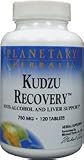 Planetary Herbals Kudzu Recovery 750 mg Tabs, 120 ct