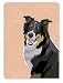 Paper Russells PAPRG584 Grrreen Greeting Card, 4.5x6.5 Inch - Australian Shepherd - B Day