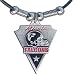 NFL Pendant - Atlanta Falcons