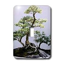 Trees - Bonsai Tree - Light Switch Covers - single toggle switch