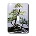 Trees - Bonsai Tree - Light Switch Covers - single toggle switch
