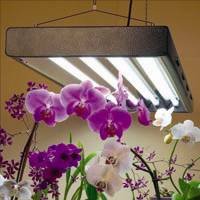 Hydrofarm Designer - 4' T5 High Output Fluorescent Light System (6 Tube System)