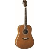 Washburn WSJ124K Southern Jumbo Guitar with case