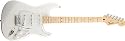Fender Standard Stratocaster MN AWT