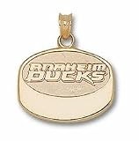 Anaheim Ducks New Puck Pendant - 14KT Gold Jewelry