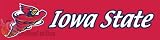Iowa State Cyclones New 8 Ft Tailgate Banner Flag