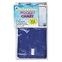 Scheduling Pocket Chart (CDPCD5615) Category: Charts