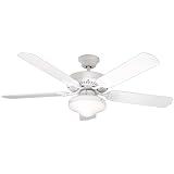 Litex WOD52WW5C All Weather 52-Inch Five-Blade Ceiling Fan for Wet Locations, White with Frosted Glass Light