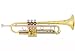 Bach TR500 Student's Trumpet with case
