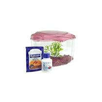 Marina Betta Kit in Burgundy