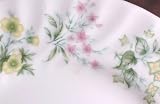 Review Minton  / Minton Spring Valley Teacup and Saucer