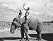 CARY GRANT, SAM JAFFE � Image