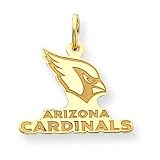 14K Arizona Cardinals Large Logo w/Name