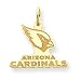 14K Arizona Cardinals Large Logo w/Name