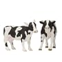 Noah's Pals: Cattle