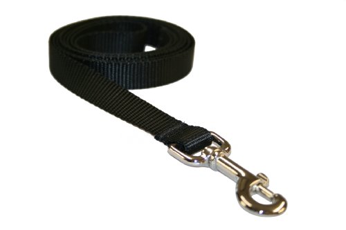 Medium Black Nylon Webbing Dog Leash: 3/4