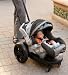 Baby : Gogo Babyz Infant Cruizer Car Seat Travel System (for Graco)