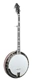 Recording King Soloist Resonator Banjo, Sunburst Finish - B001BM3WD8