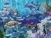Sea-Life-Floor-Puzzle-24-pc