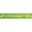 CitiRibbon Best Wish 5/8" (25 yds) Green