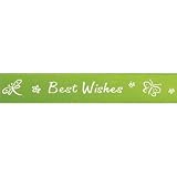 CitiRibbon Best Wish 5/8 (25 yds) Green